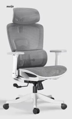 Black and White E2 Ergonomic Office Chair