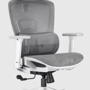 Black and White E2 Ergonomic Office Chair